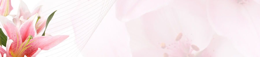 ܗ\h~X̃tbgPA